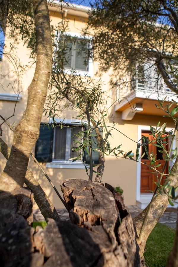 Vk Villas Apolpaina 외부 사진